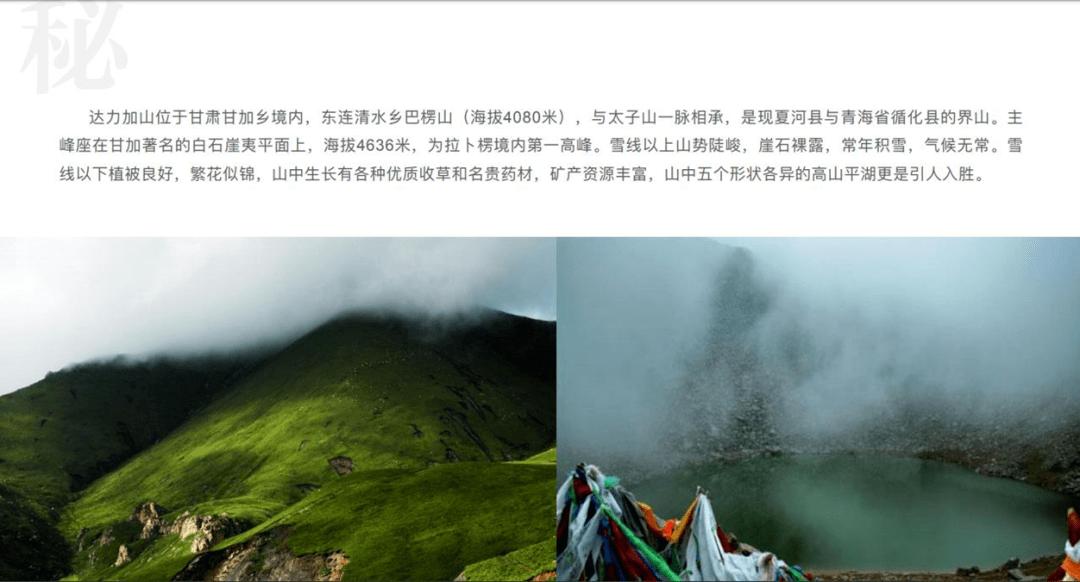 可爱猫咪救援